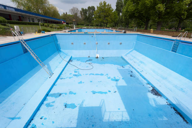 Best Water damage restoration near me  in Roseville, MN