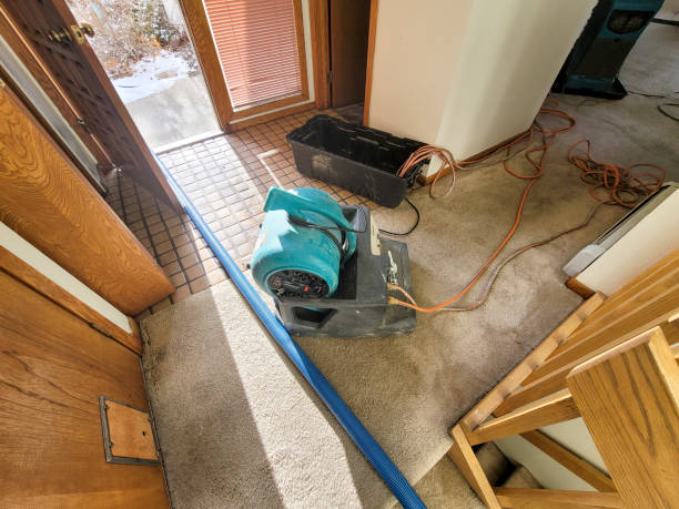 Best Flooded house restoration  in Roseville, MN