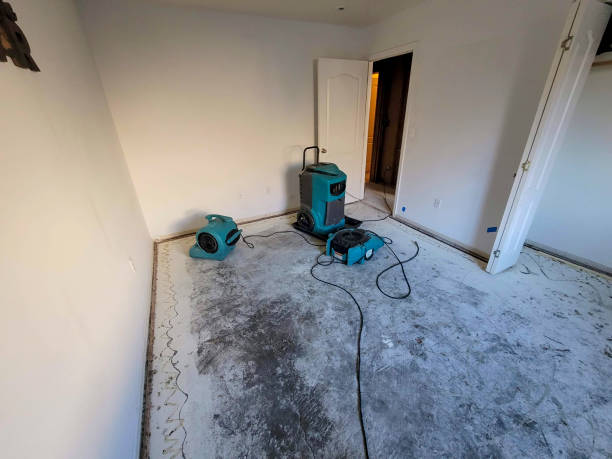 Best Basement water damage restoration  in Roseville, MN