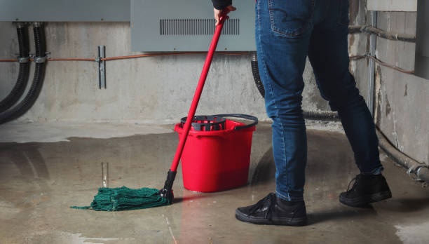 Best Water damage restoration near me  in Roseville, MN