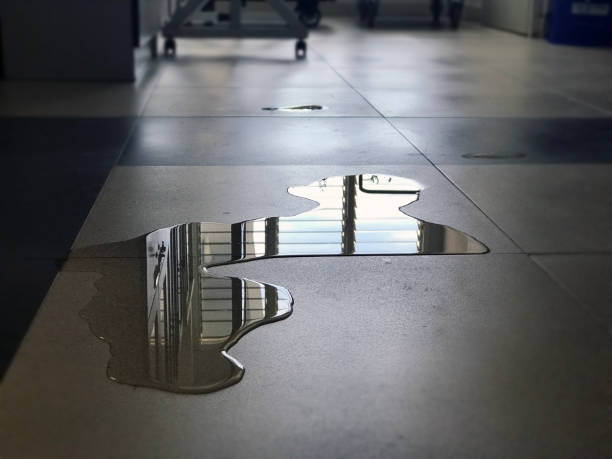 Best Ceiling water damage repair  in Roseville, MN