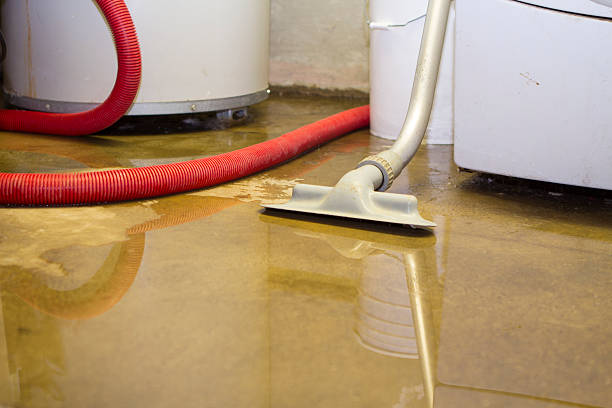 Best 24-hour water damage restoration  in Roseville, MN