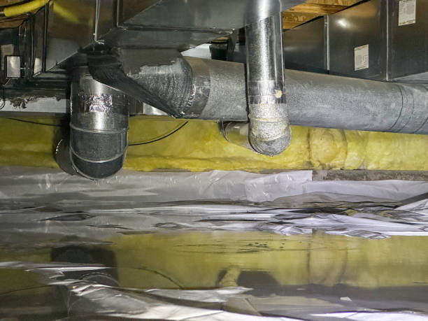 Best Water damage cleanup near me  in Roseville, MN
